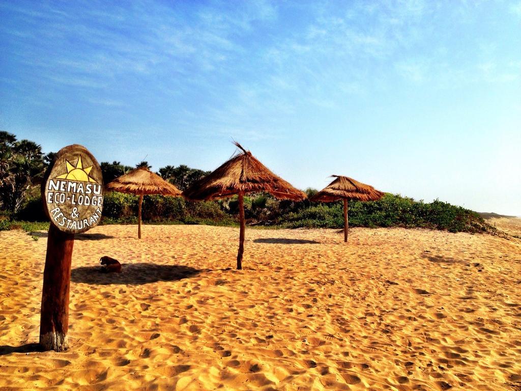 Nemasu Eco-Lodge Gunjur Екстер'єр фото